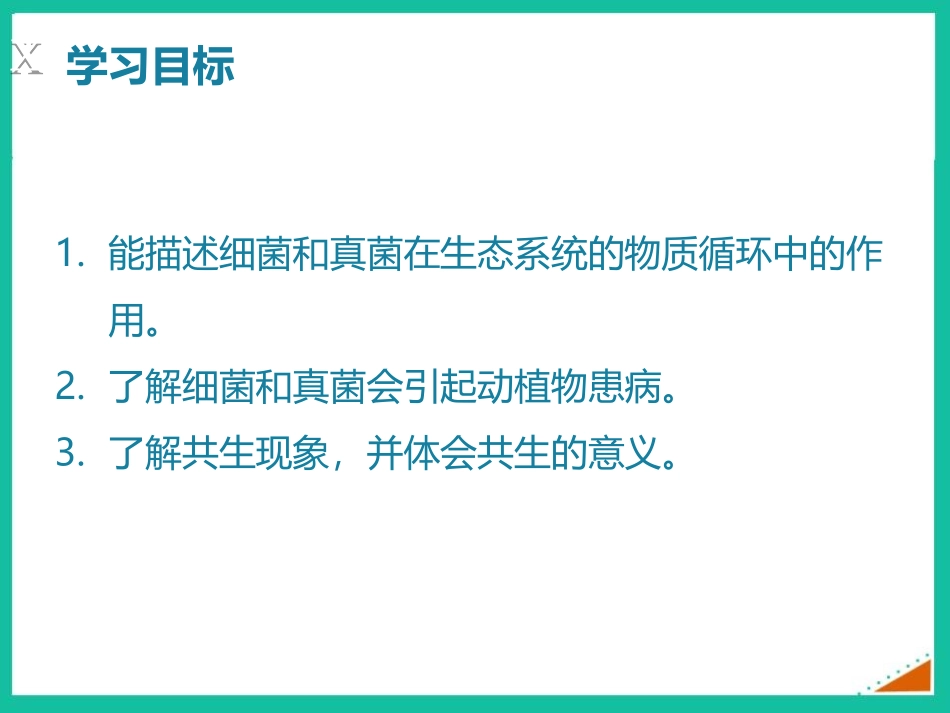 《细菌和真菌在自然界中的作用》PPT免费课件[人教版八年级生物]_第2页