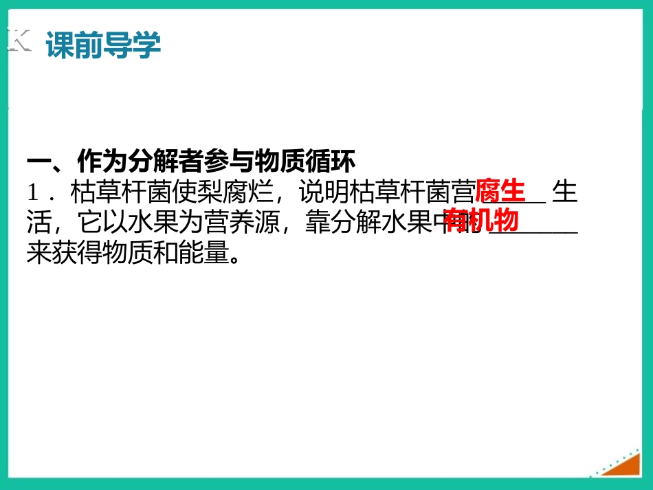 《细菌和真菌在自然界中的作用》PPT免费课件[人教版八年级生物]_第3页