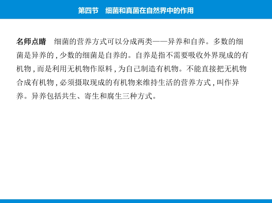 《细菌和真菌在自然界中的作用》PPT课件[人教版八年级生物]_第3页