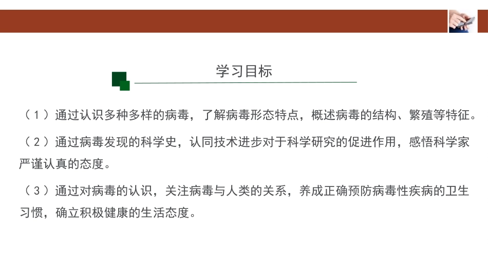 《病毒》PPT优秀课件[人教版八年级生物上册]_第2页