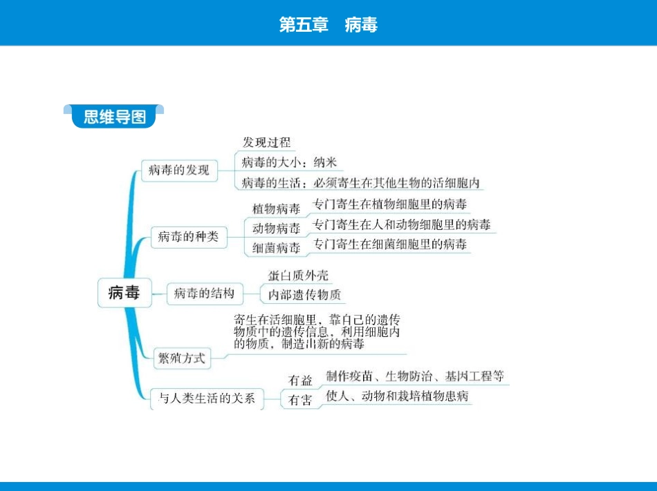 《病毒》PPT课件[人教版八年级生物上册]_第2页