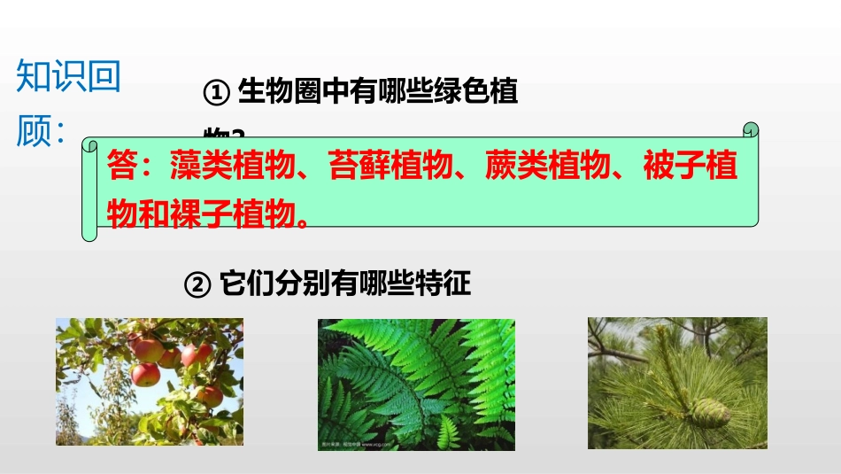 《尝试对生物进行分类》PPT免费课件[人教版八年级生物上册]_第3页