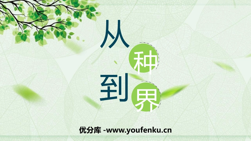 《从种到界》PPT优秀课件[人教版八年级生物上册]_第1页
