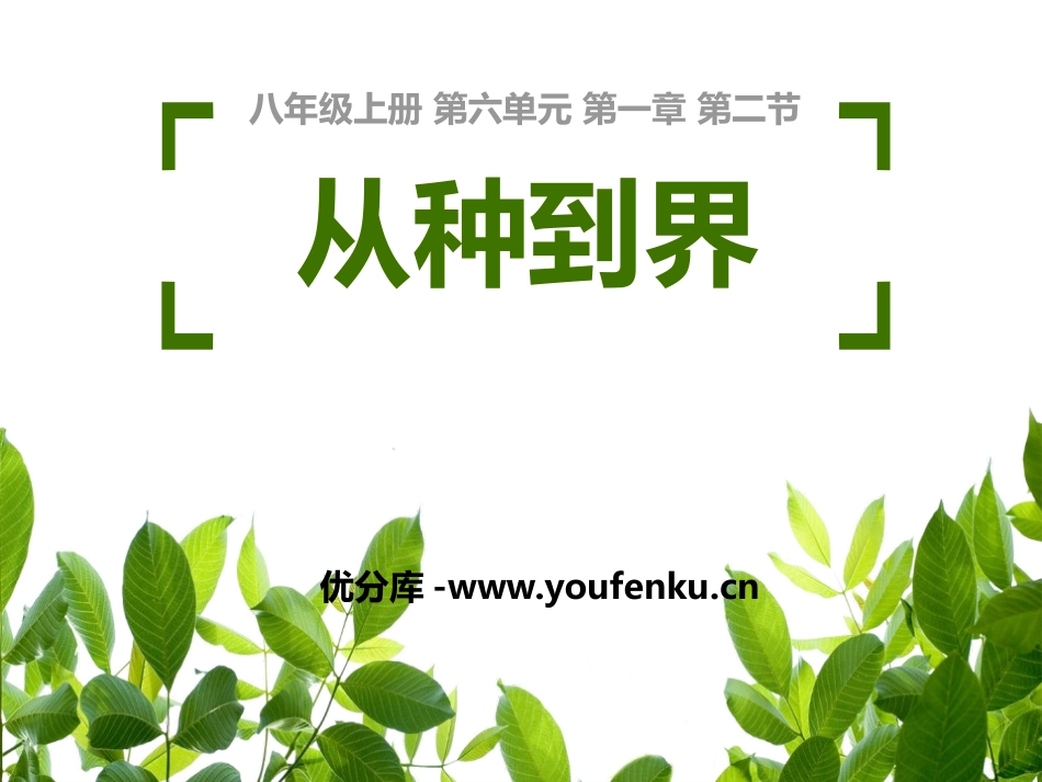 《从种到界》PPT教学课件[人教版八年级生物上册]_第1页