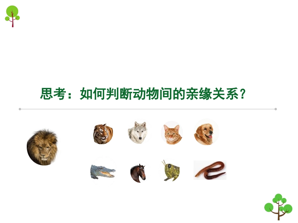 《从种到界》PPT教学课件[人教版八年级生物上册]_第3页