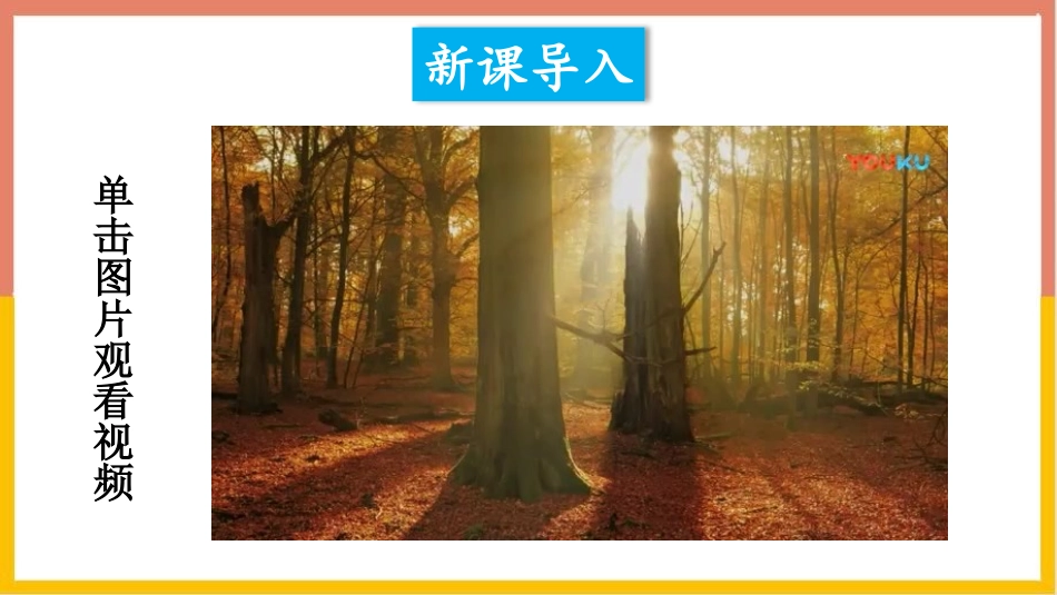 《认识生物的多样性》PPT课件[人教版八年级生物上册]_第2页