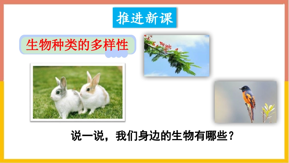 《认识生物的多样性》PPT课件[人教版八年级生物上册]_第3页