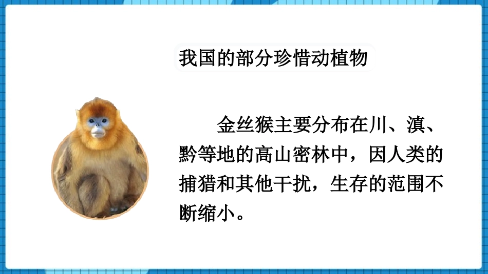 《保护生物的多样性》PPT优秀课件[人教版八年级生物上册]_第3页