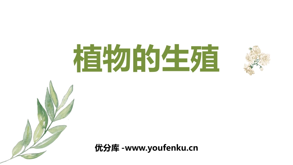 《植物的生殖》PPT优秀课件[人教版八年级生物下册]_第1页