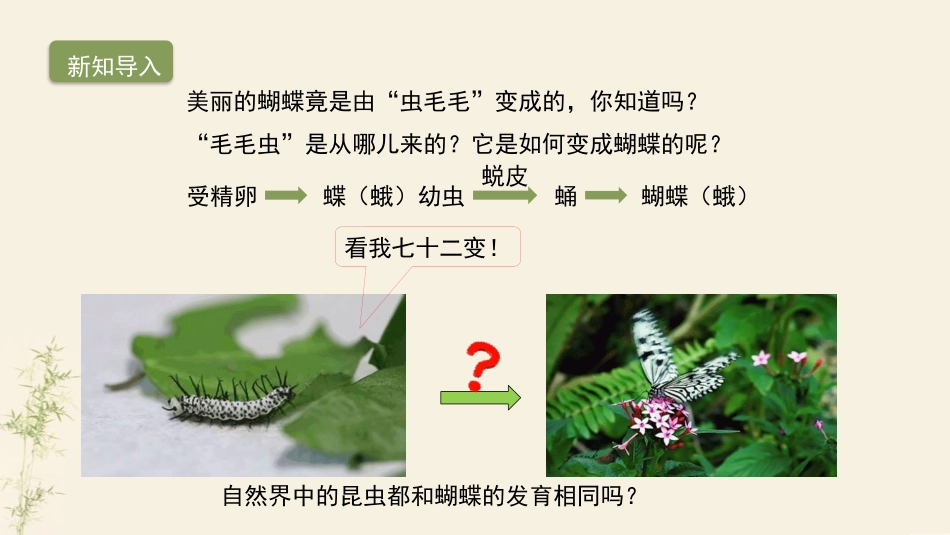 《昆虫的生殖和发育》PPT教学课件[人教版八年级生物下册]_第3页
