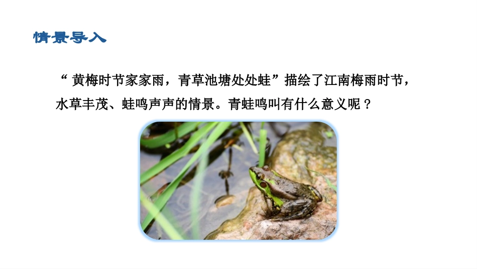 《两栖动物的生殖和发育》PPT免费课件[人教版八年级生物]_第2页