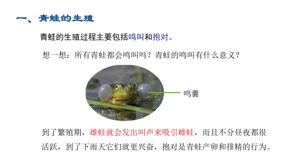 《两栖动物的生殖和发育》PPT免费课件[人教版八年级生物]_第3页