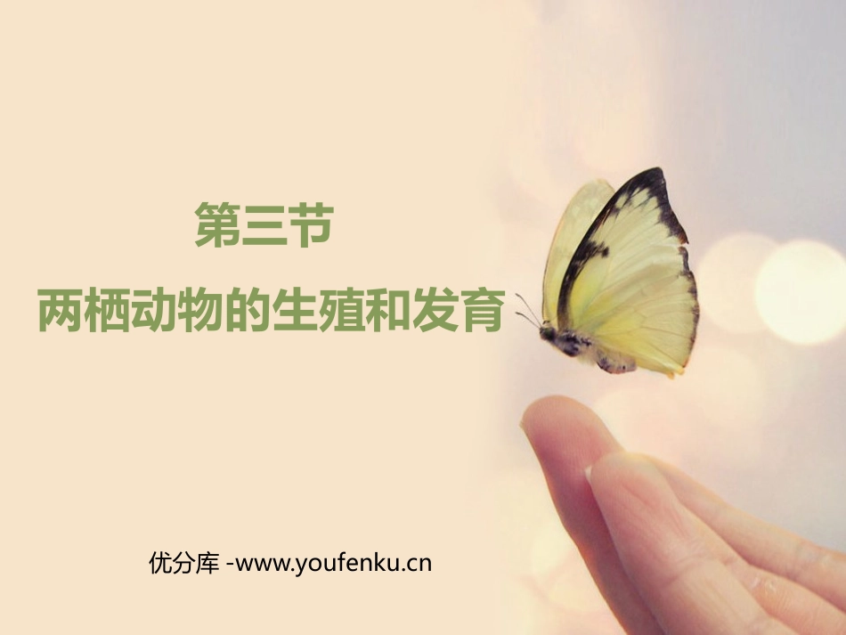 《两栖动物的生殖和发育》PPT课件[人教版八年级生物下册]_第1页