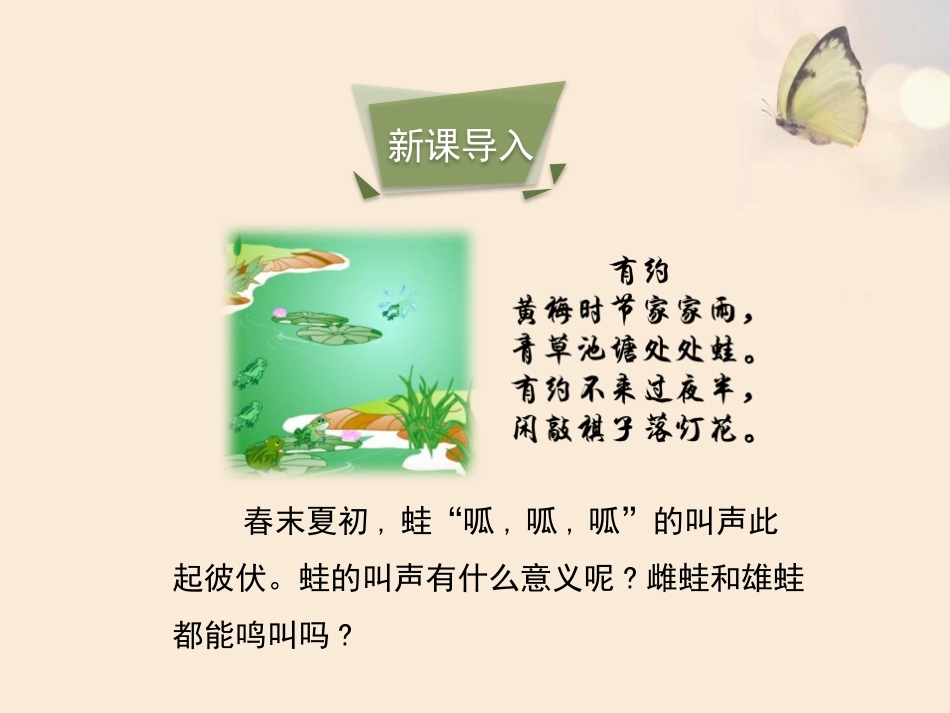 《两栖动物的生殖和发育》PPT课件[人教版八年级生物下册]_第2页