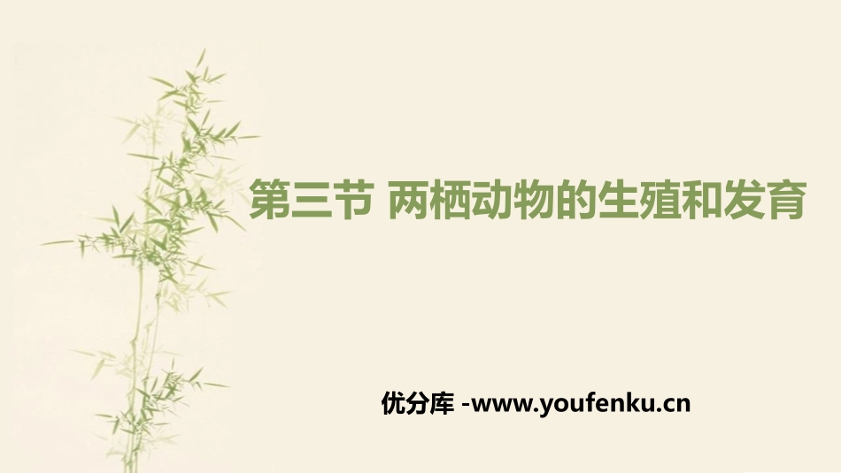 《两栖动物的生殖和发育》PPT优质课件[人教版八年级生物]_第1页