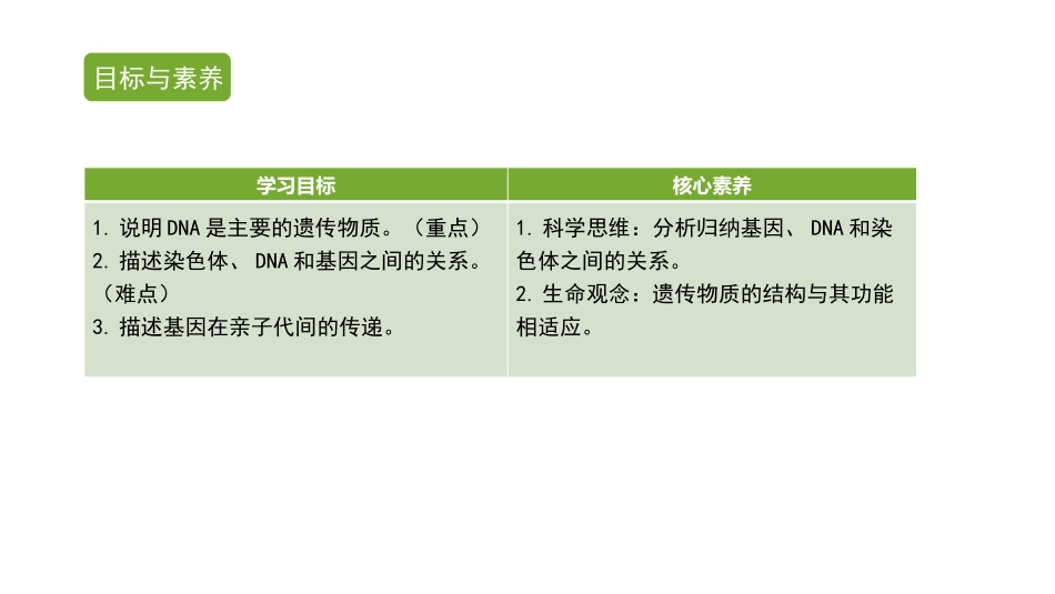 《基因在亲子代间的传递》PPT课件[人教版八年级生物下册]_第2页