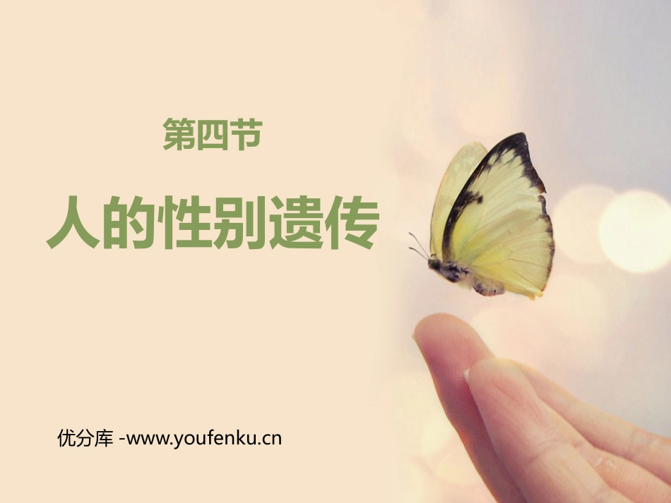 《人的性别遗传》PPT免费课件[人教版八年级生物下册]_第1页