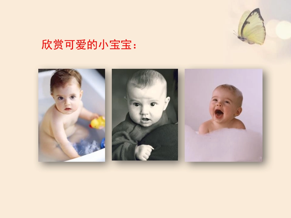 《人的性别遗传》PPT免费课件[人教版八年级生物下册]_第3页
