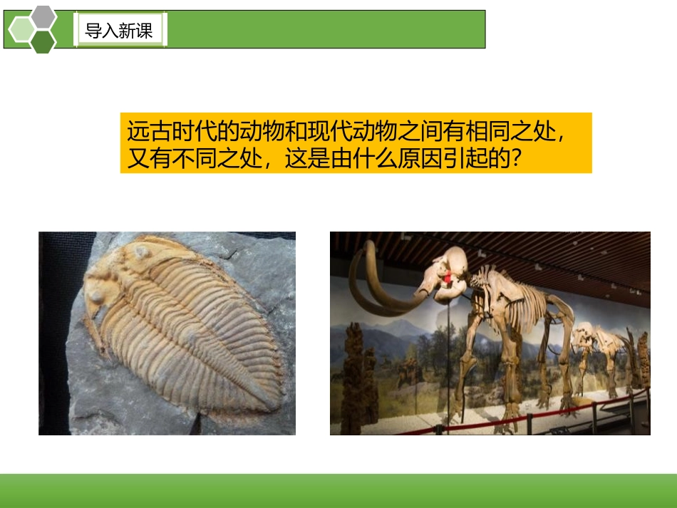 《生物的变异》PPT课件[人教版八年级生物下册]_第2页