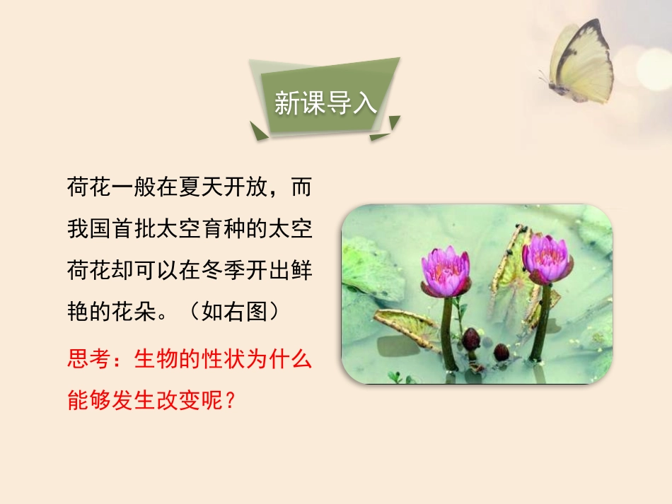 《生物的变异》PPT优秀课件[人教版八年级生物下册]_第2页