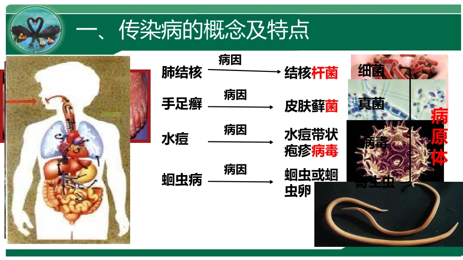 《传染病及其预防》PPT优质课件[人教版八年级生物下册]_第3页