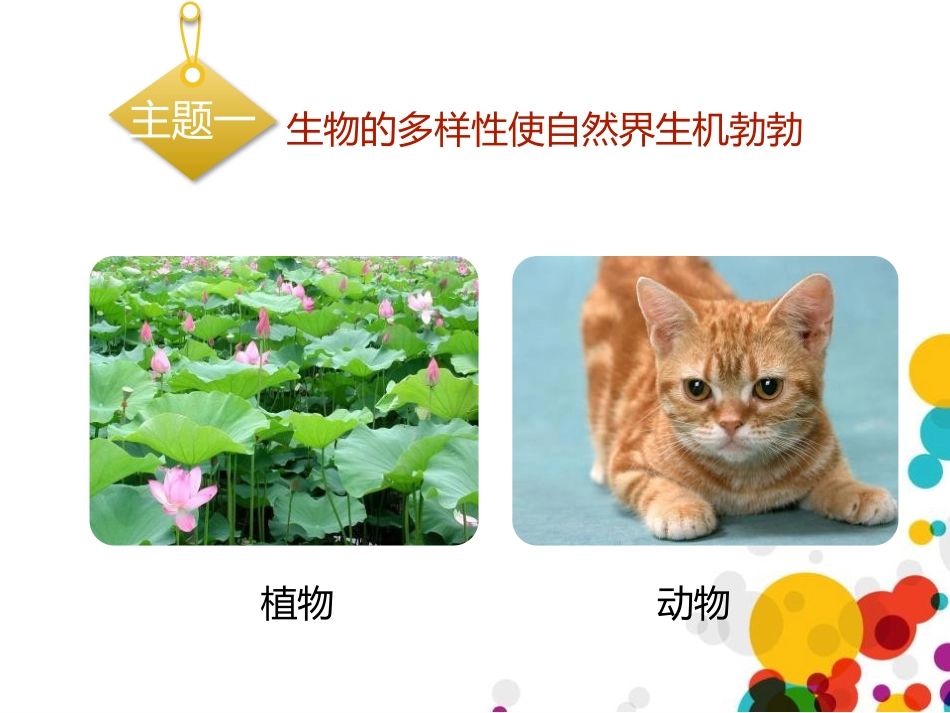 《形形色色的生物》PPT(第1课时)PPT课件_第3页