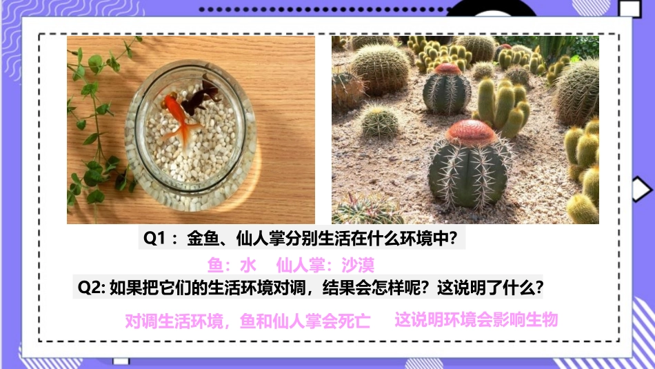 《生物与环境的相互影响》PPT课件[北师大版七年级生物上册]_第2页