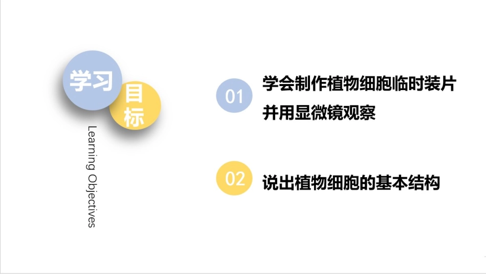 《细胞的基本结构和功能》PPT课件[北师大版七年级生物上册]_第3页