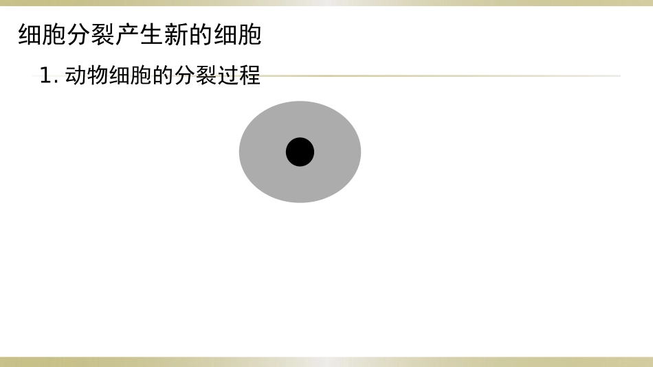 《细胞通过分裂而增殖》PPT课件[北师大版七年级生物上册]_第3页