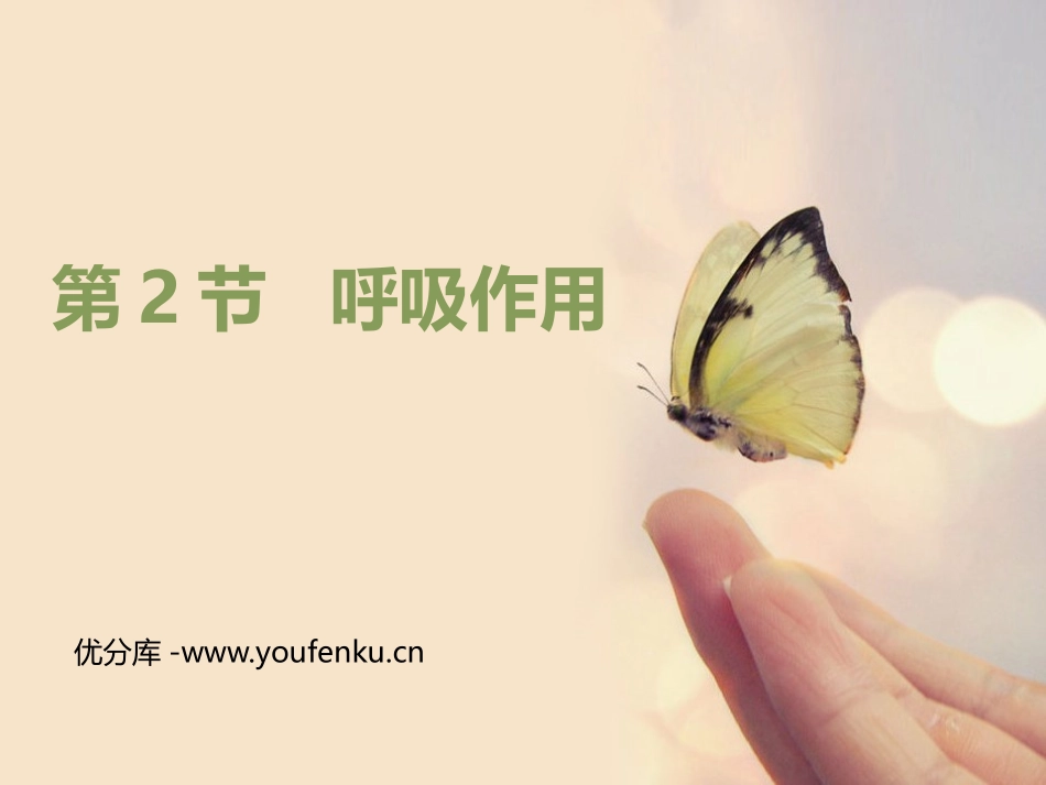 《呼吸作用》PPT精品课件[北师大版七年级生物上册]_第1页
