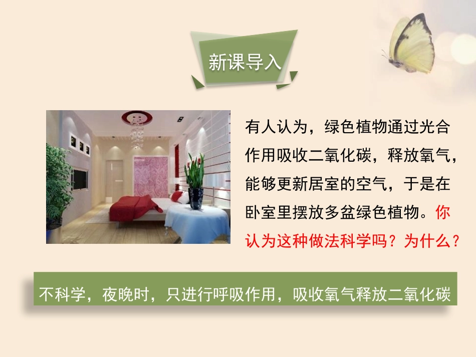 《呼吸作用》PPT精品课件[北师大版七年级生物上册]_第3页