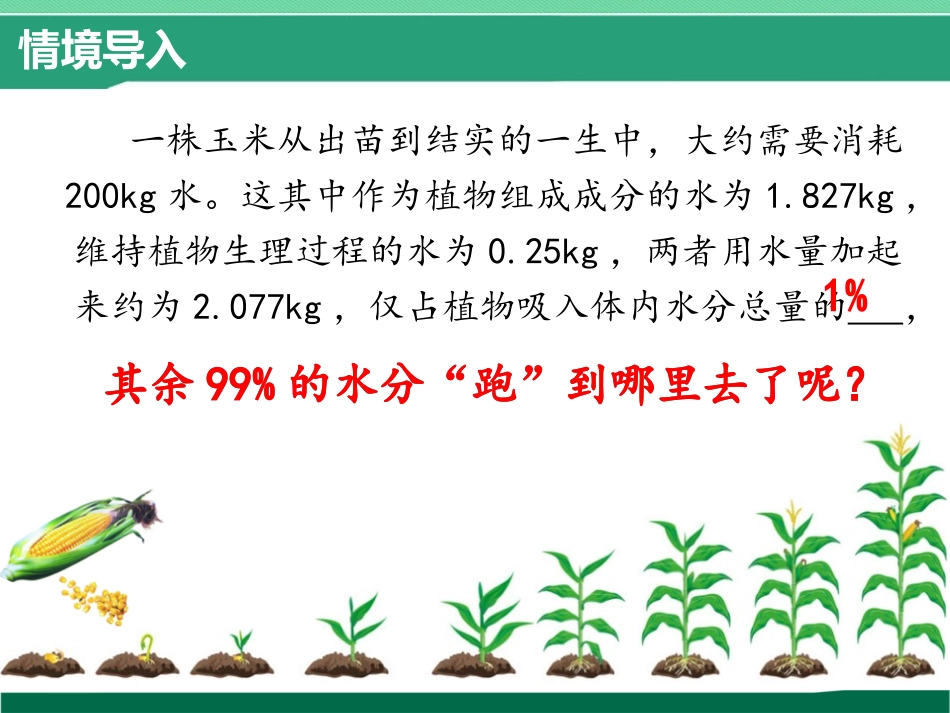 《蒸腾作用》PPT免费课件[北师大版七年级生物上册]_第2页