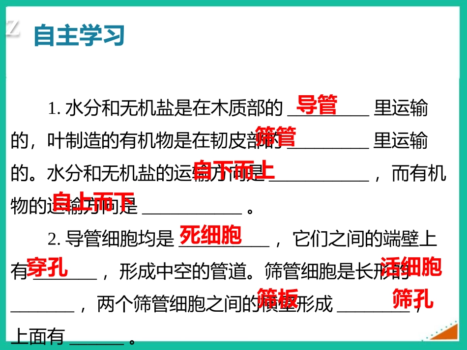《运输作用》PPT免费课件[北师大版七年级生物上册]_第3页