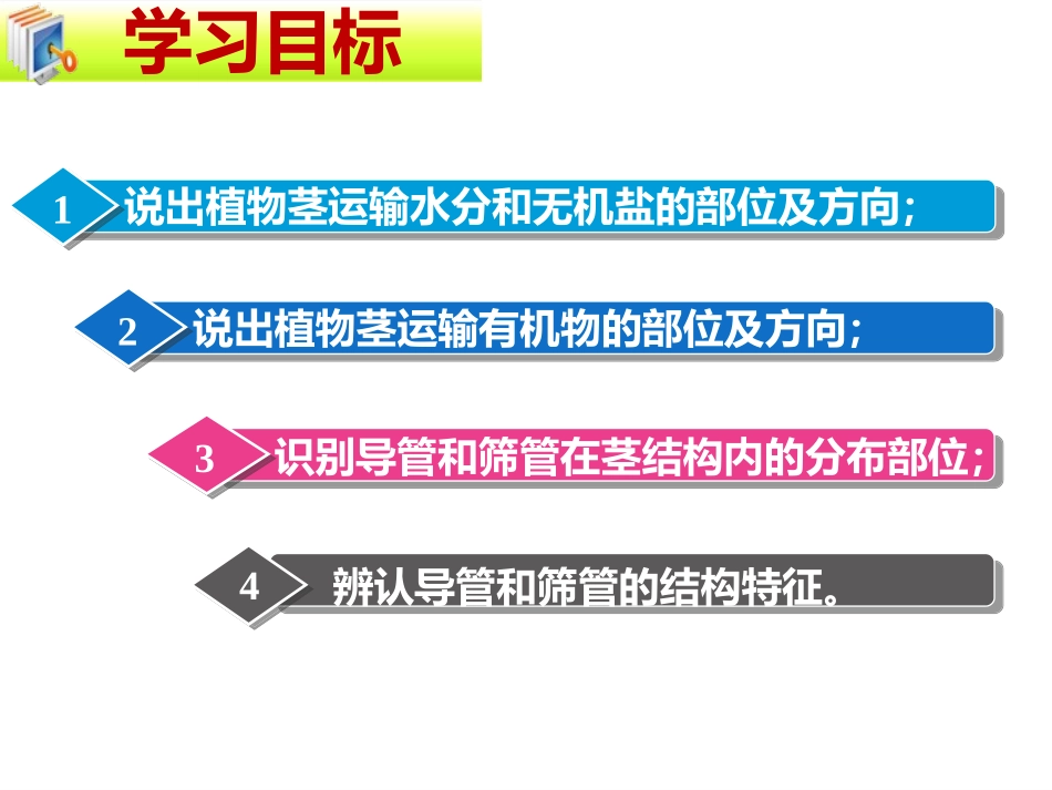 《运输作用》PPT课件[北师大版七年级生物上册]_第2页