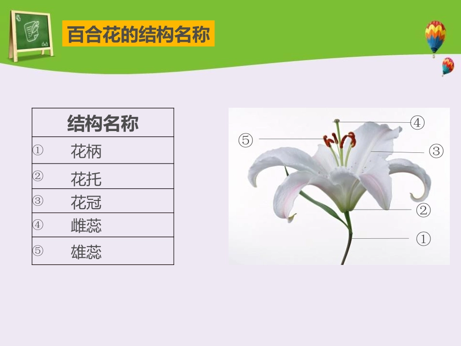 《生殖器官的生长》PPT课件[北师大版七年级生物上册]_第3页