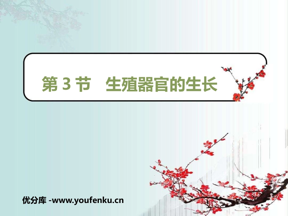 《生殖器官的生长》PPT课件[北师大版七年级生物上册]_第1页