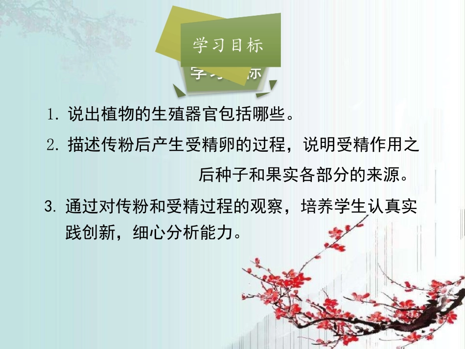 《生殖器官的生长》PPT课件[北师大版七年级生物上册]_第3页