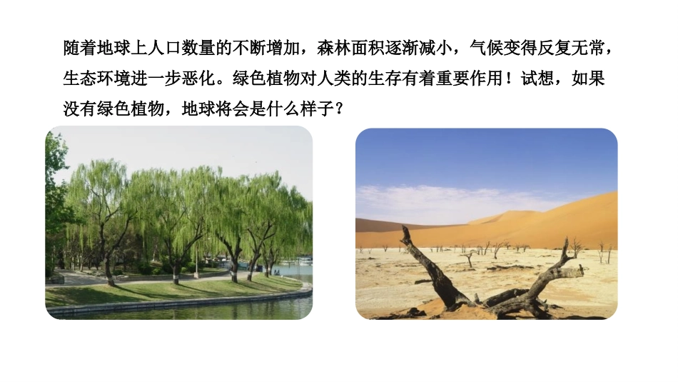 《绿色植物在生物圈中的作用》PPT免费课件[北师大版七年级生物]_第2页