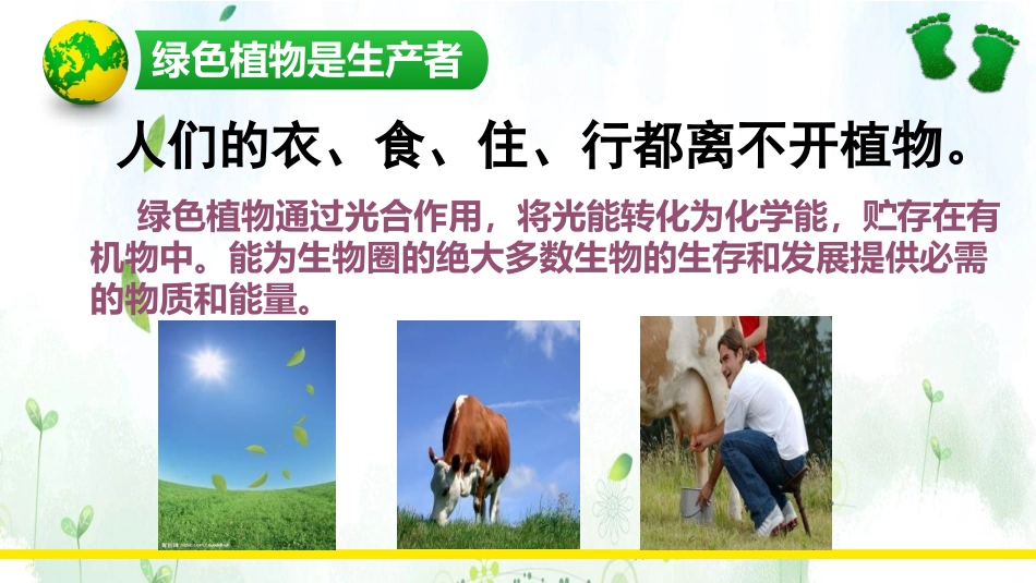 《绿色植物在生物圈中的作用》PPT课件[北师大版七年级生物]_第3页