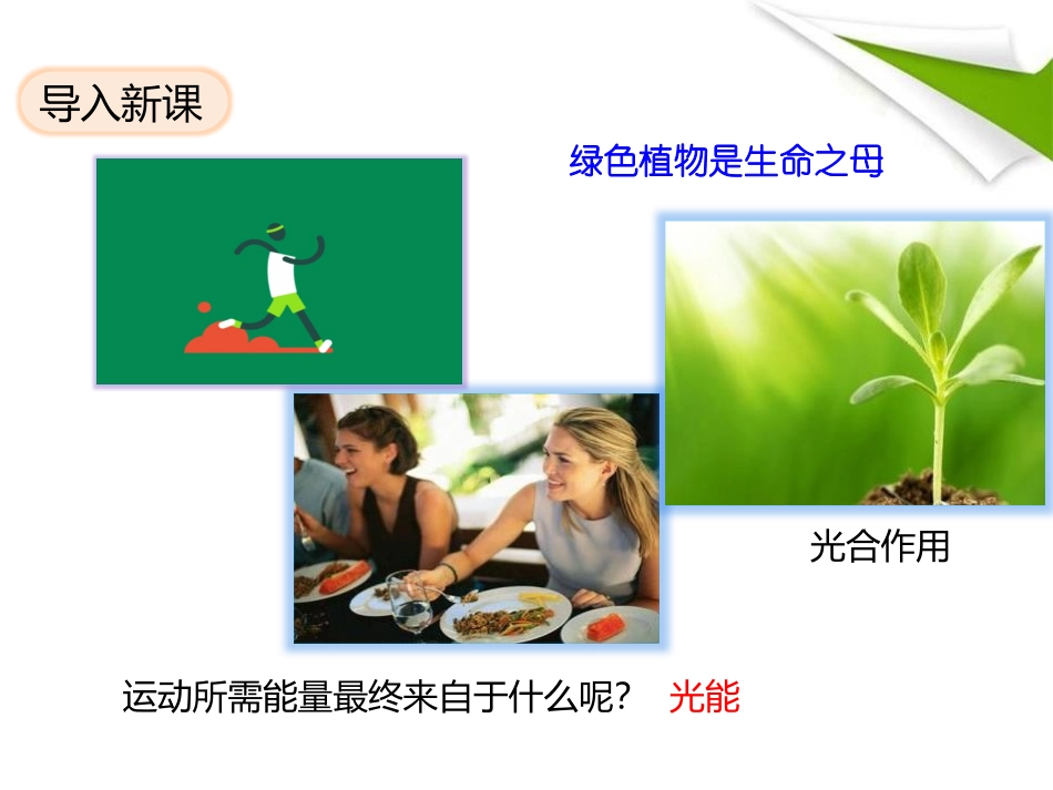 《绿色植物在生物圈中的作用》PPT优质课件[北师大版七年级生物]_第2页