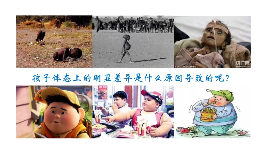 《人类的食物》PPT课件[北师大版七年级生物下册]_第2页