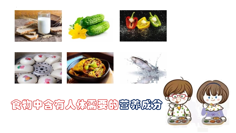 《人类的食物》PPT课件[北师大版七年级生物下册]_第3页