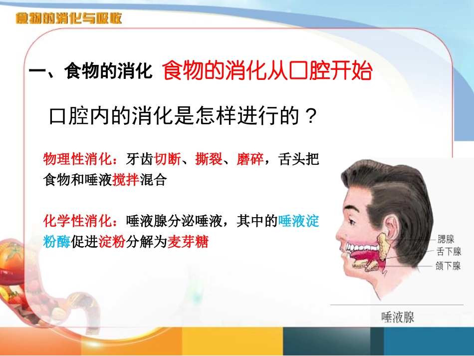《食物的消化和营养物质的吸收》PPT(第3课时)PPT课件_第3页