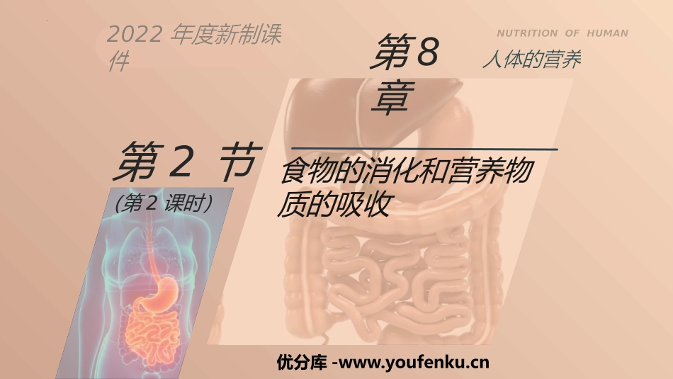《食物的消化和营养物质的吸收》PPT精品课件(第2课时)_第1页