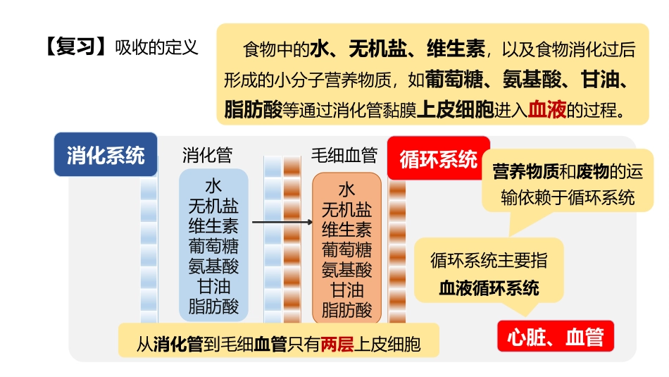 《血液》PPT(第1课时)PPT课件[北师大版七年级生物]_第3页