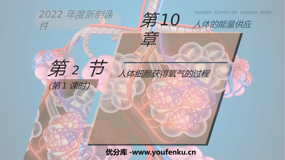 《人体细胞获得氧气的过程》PPT课件(第1课时)_第1页