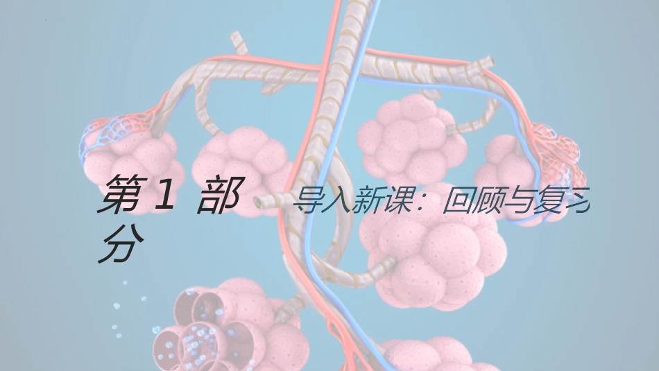 《人体细胞获得氧气的过程》PPT课件(第1课时)_第3页