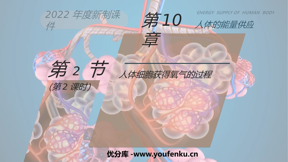 《人体细胞获得氧气的过程》PPT课件(第2课时)_第1页