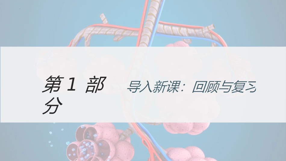 《人体产生的代谢废物》PPT课件[北师大版七年级生物下册]_第2页