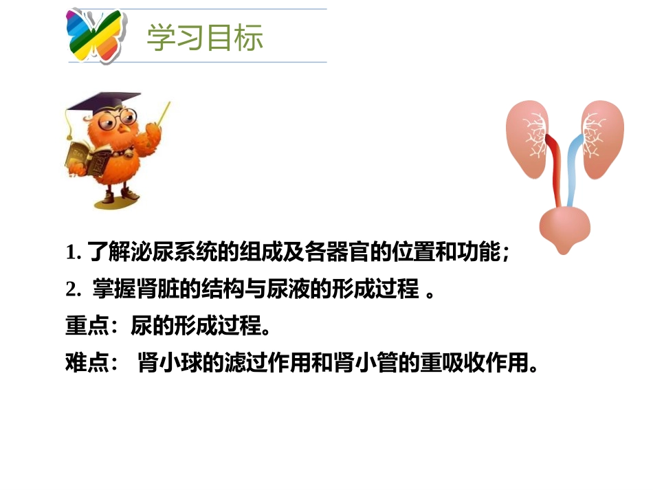 《尿的形成与排出》PPT课件[北师大版七年级生物下册]_第1页